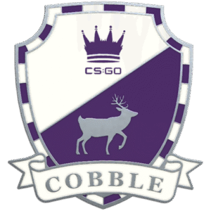 Cobblestone Pin