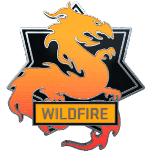 Wildfire Pin