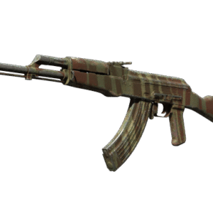 AK-47 | Predator (Well-Worn)