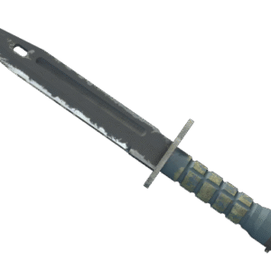 ★ Bayonet | Night (Field-Tested)